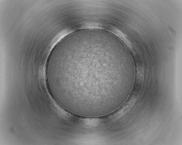 X0000115160893200911101747
