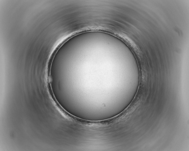 X0000115160894200911101747