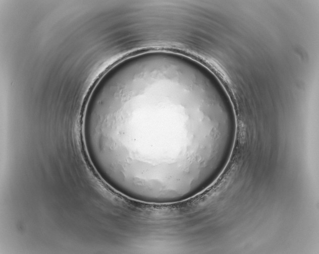 X0000115160895200911101747
