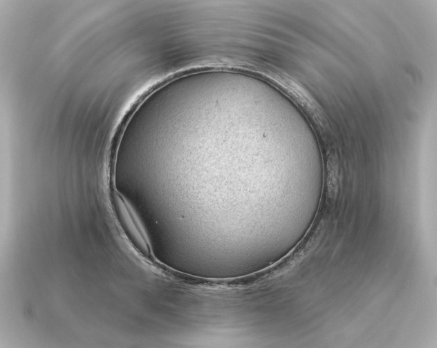 X0000115160896200911101747