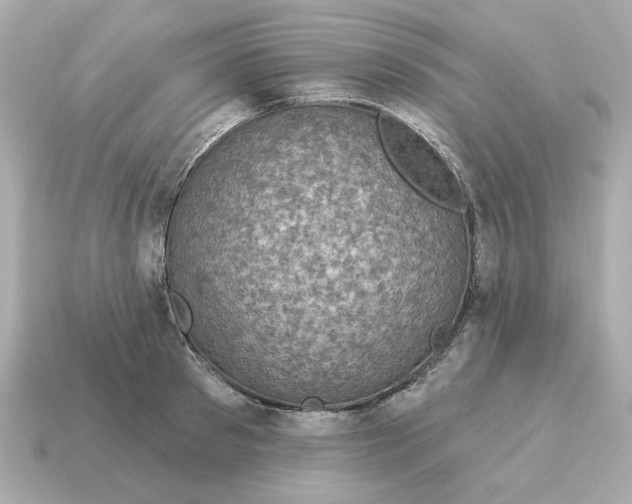 X0000115160897200911101747