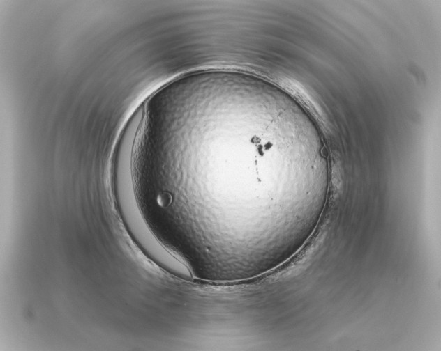 X0000115160900200911101747