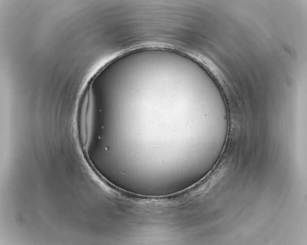 X0000115160902200911101747