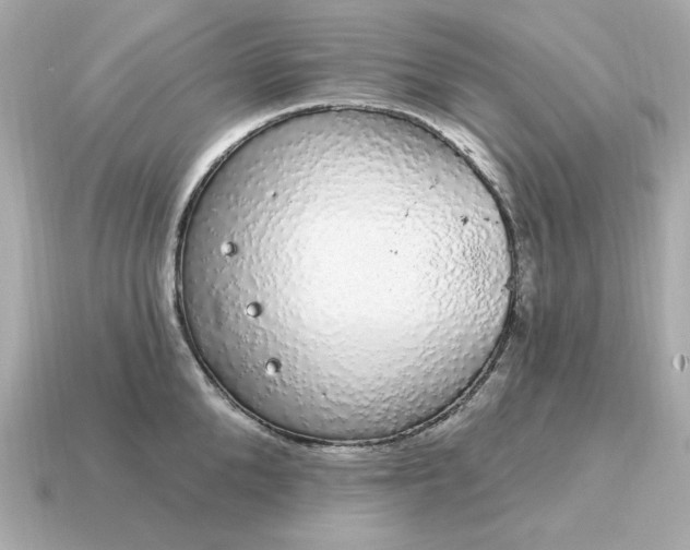 X0000115160904200911101747