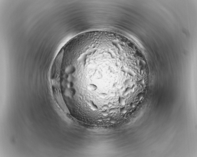 X0000115160907200911101747