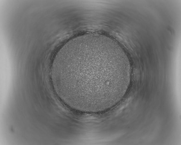 X0000115160913200911101746
