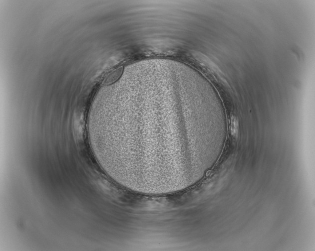 X0000115160915200911101746