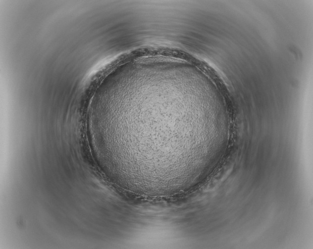 X0000115160919200911101746