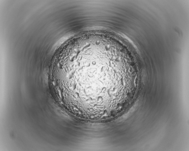 X0000115160921200911101746