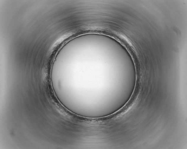 X0000115160922200911101746