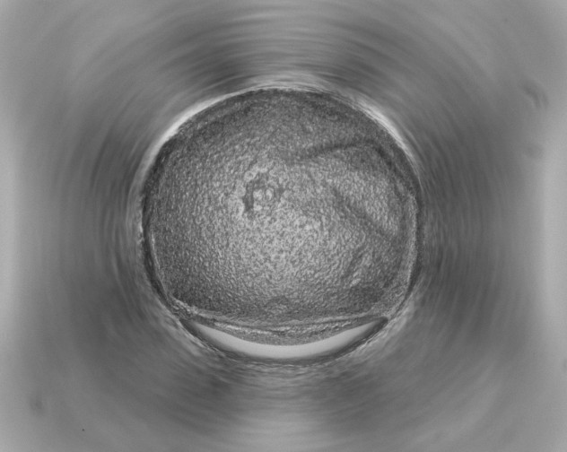 X0000115160923200911101746