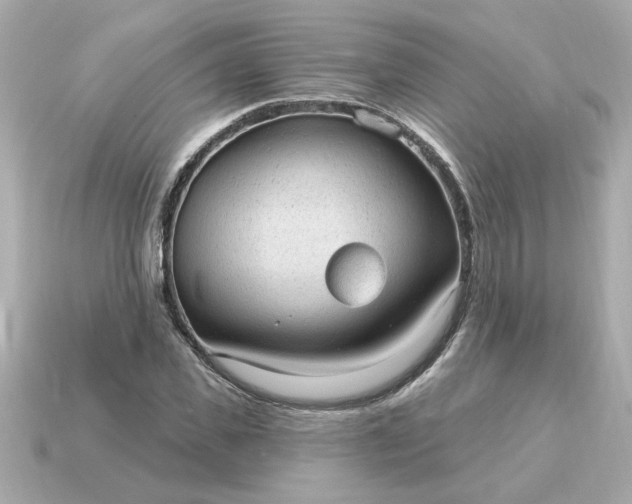 X0000115160925200911101746