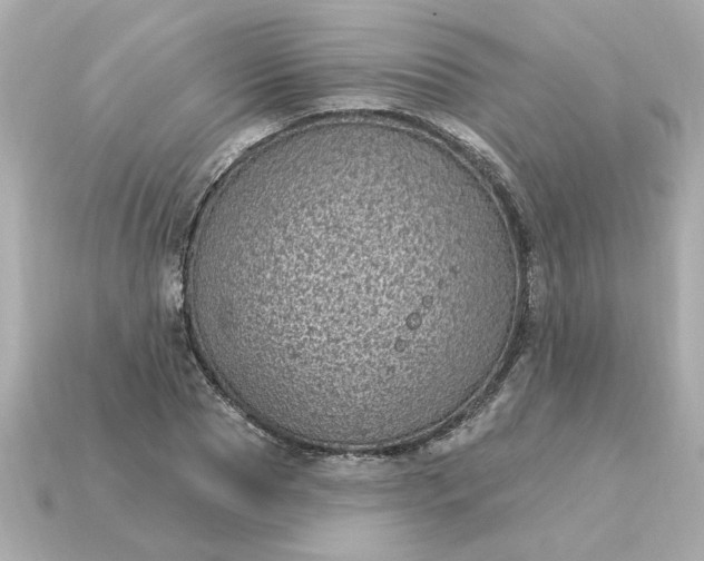 X0000115160929200911101747
