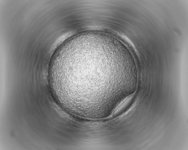 X0000115160930200911101747