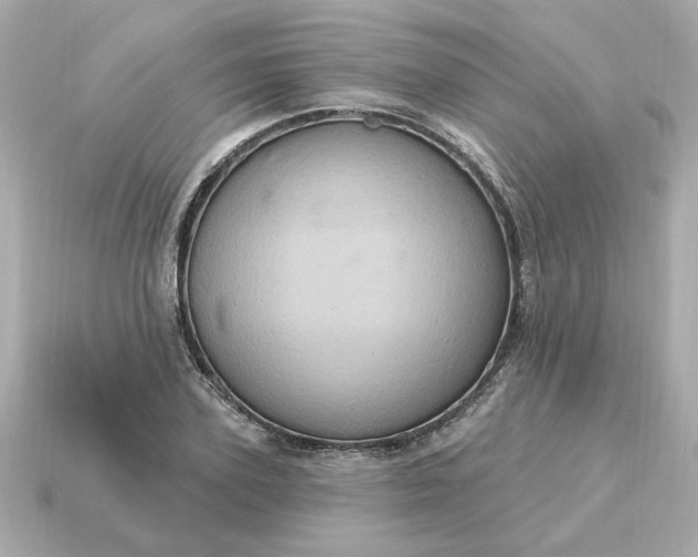 X0000115160931200911101747