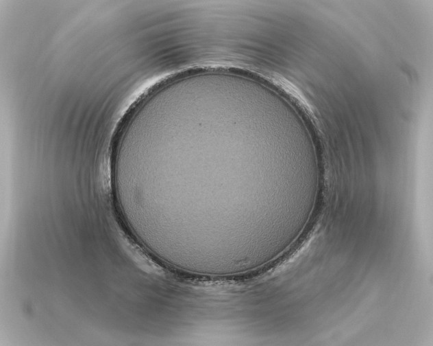 X0000115160934200911101747