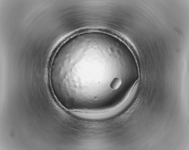 X0000115160935200911101747