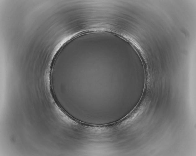 X0000115160941200911101747