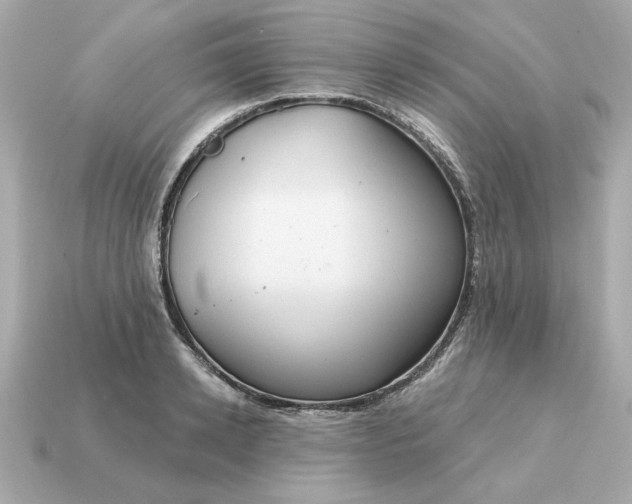 X0000115160942200911101747