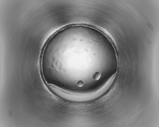 X0000115160943200911101747