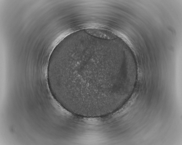 X0000115160946200911101747