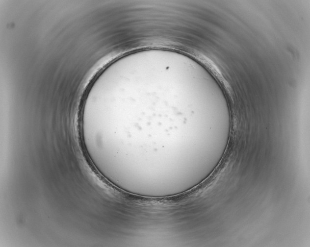 X0000115160947200911101747