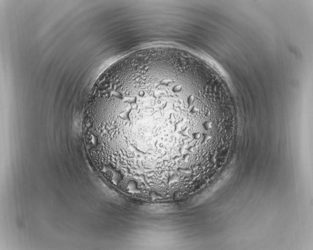 X0000115160953200911101747