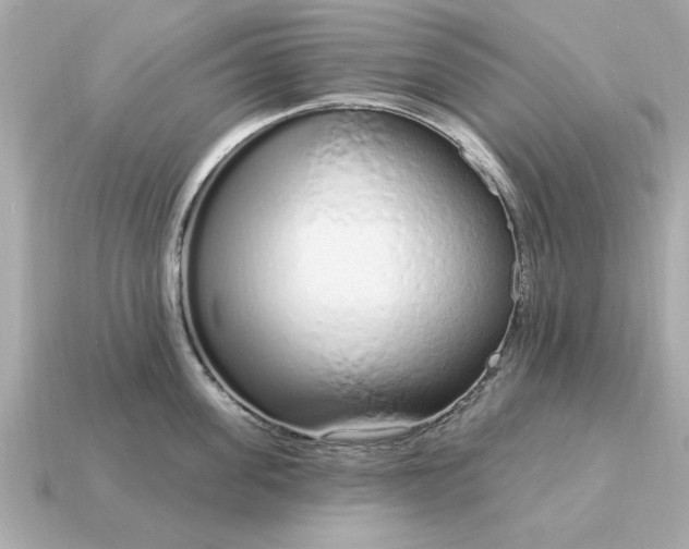 X0000115160955200911101747