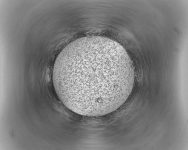 X0000115160962200911101746