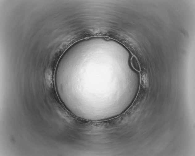 X0000115160963200911101746