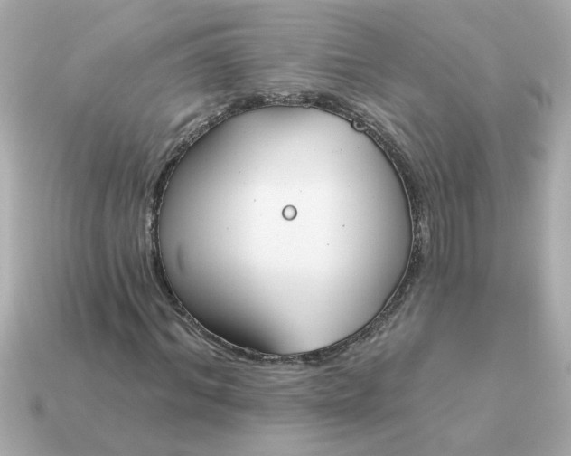 X0000115160964200911101746
