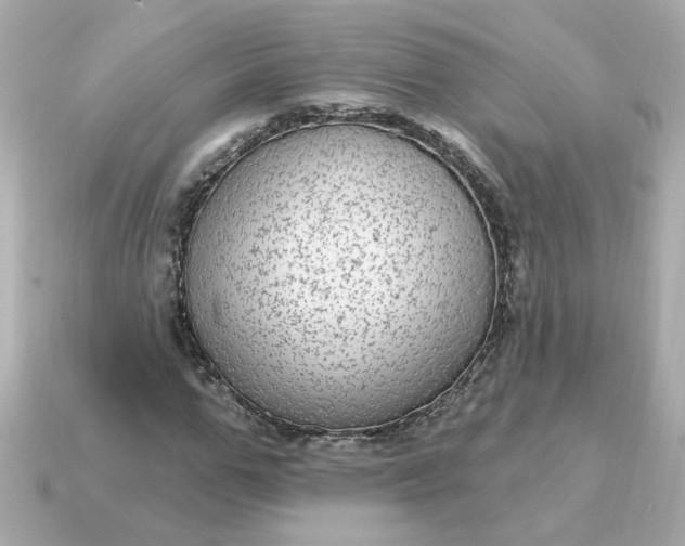 X0000115160967200911101746