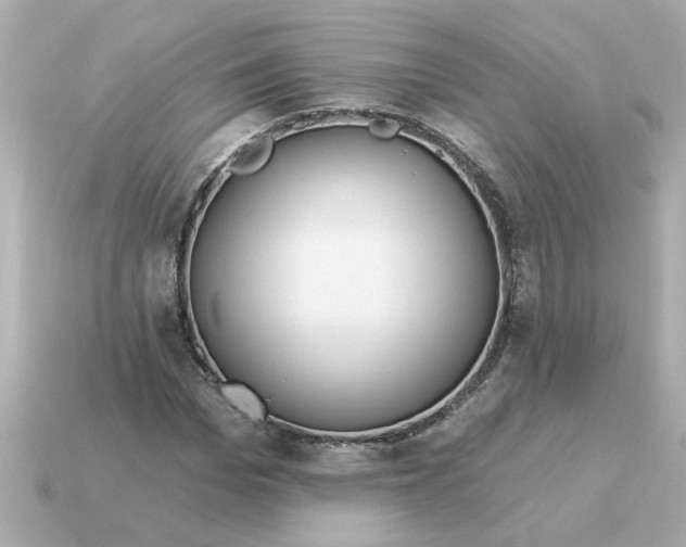 X0000115160969200911101746