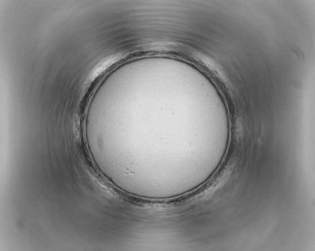 X0000115160970200911101746