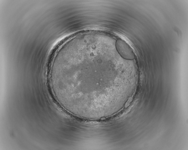 X0000115160971200911101746