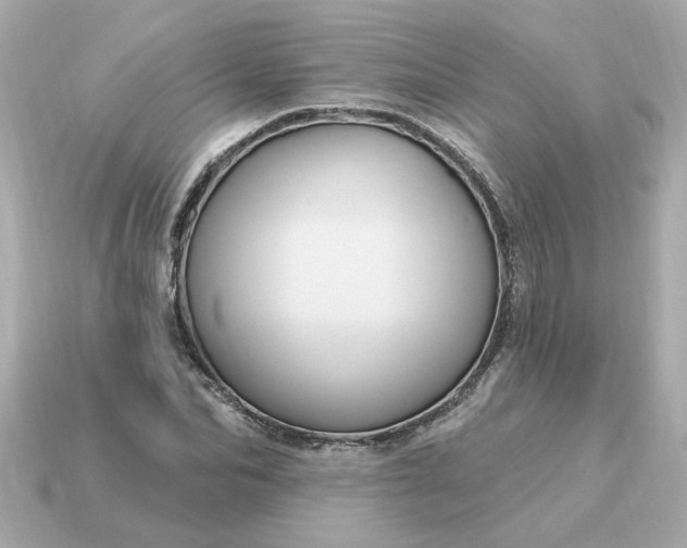 X0000115160974200911101746