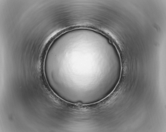 X0000115160975200911101746