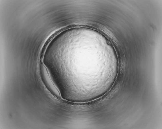 X0000115160976200911101746