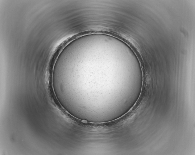 X0000115160979200911101746