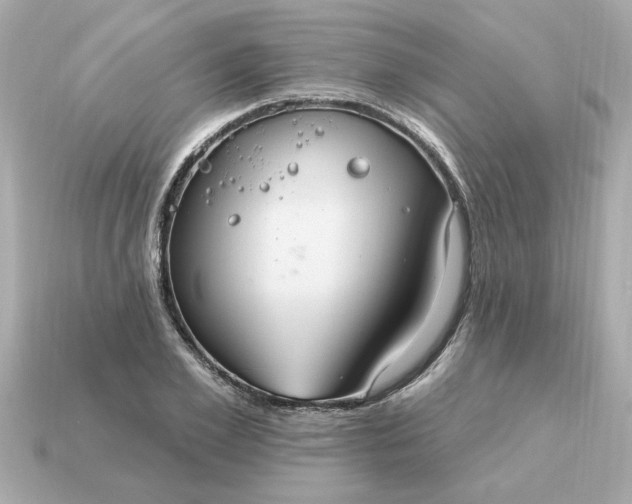 X0000115160981200911101746