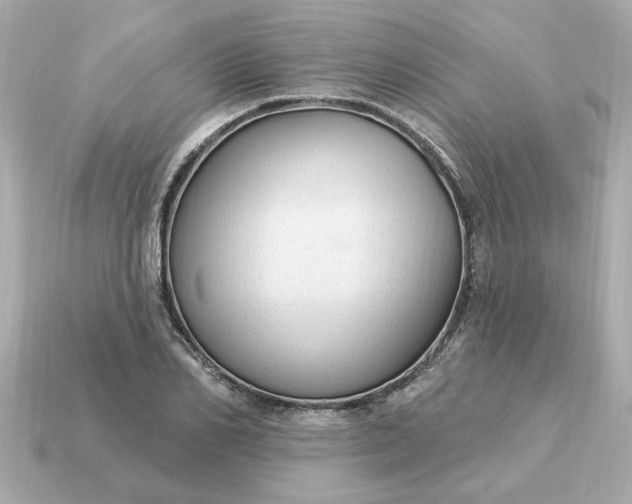 X0000115160982200911101746