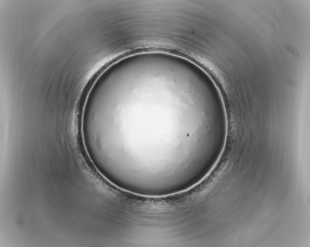X0000115160983200911101746