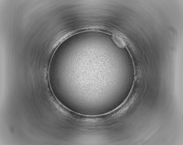 X0000115160985200911101746