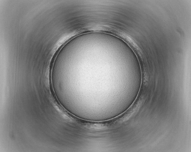 X0000115160986200911101746