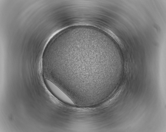 X0000115160988200911101746