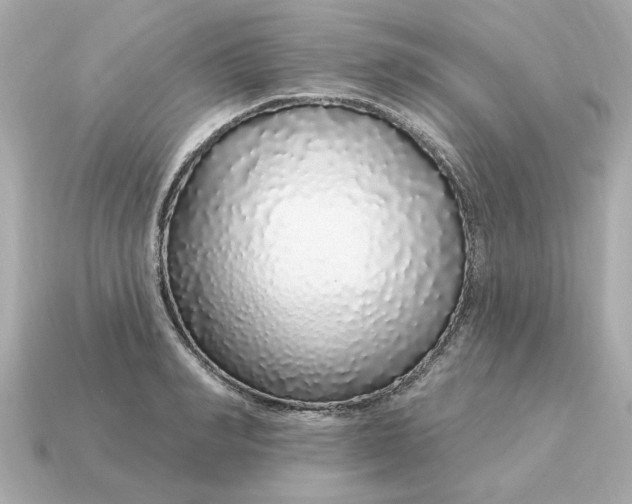 X0000115160990200911101746