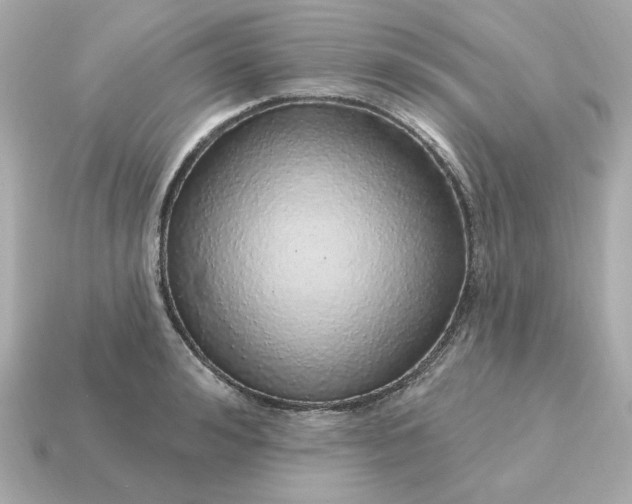 X0000115160992200911101746