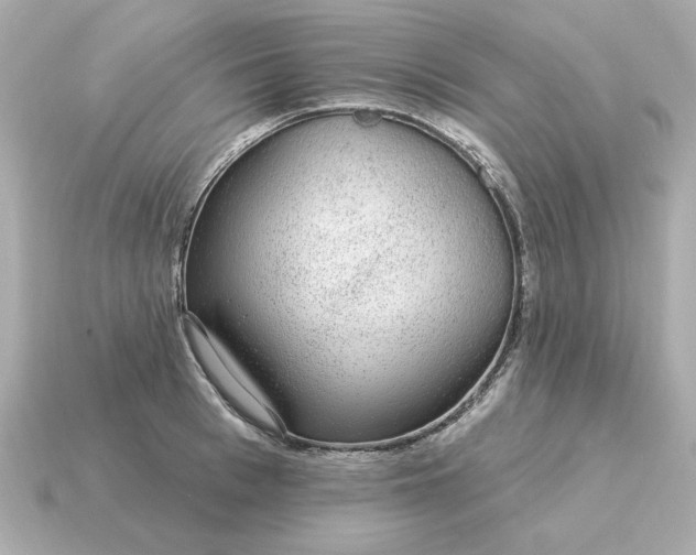 X0000115160993200911101746