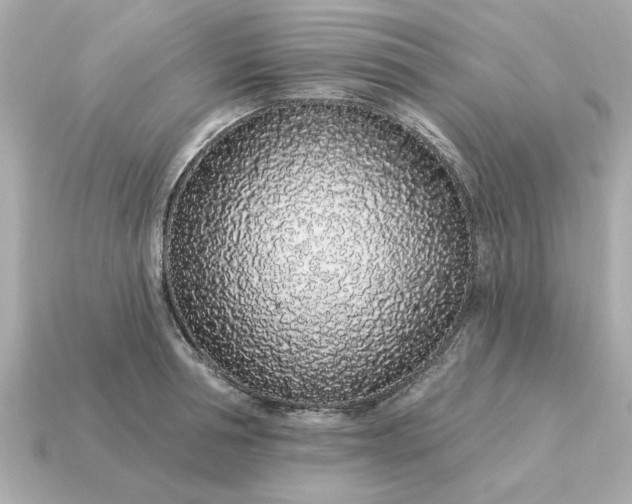 X0000115160994200911101746