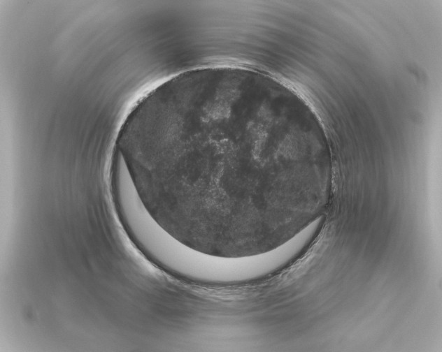 X0000115160995200911101746